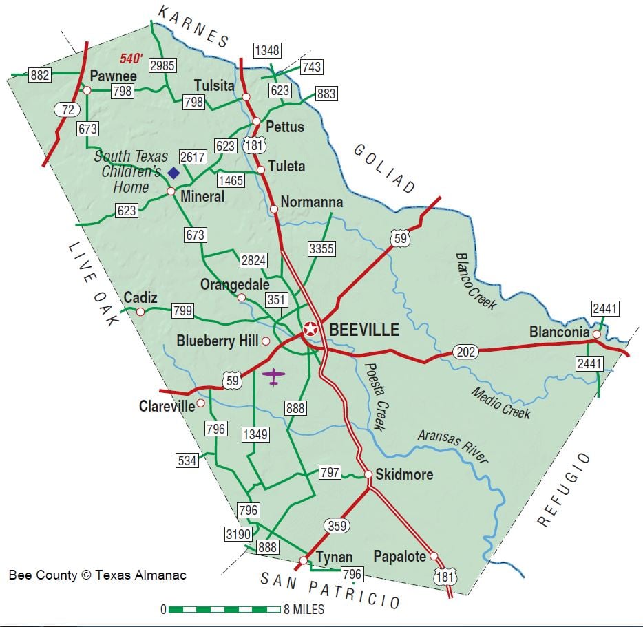 Bee County comes into being