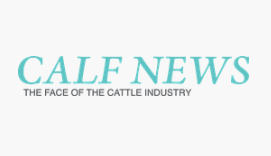 Calf News logo